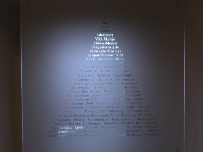 Blomsternavne sandblæst i glas, hængende foran et af de få, små vinduer. (billede 2 af 2)