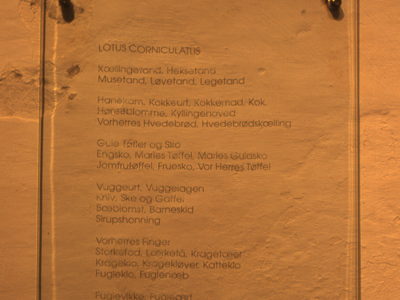 Blomsternavne sandblæst i glas. På den kalkede væg læses kun skyggen. (billede 1 af 2)