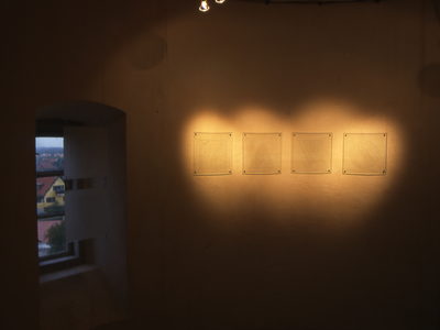 Blomsternavne sandblæst i glas. På den kalkede væg læses kun skyggen. (billede 2 af 2)