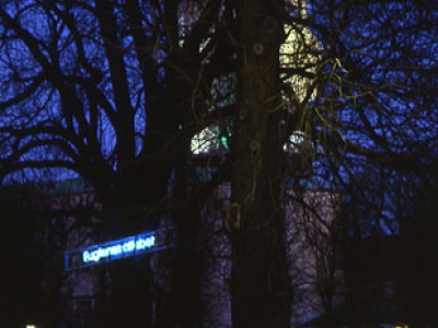 "Fuglenes alfabet" - nu i Rådhusparken. (billede 3 af 4)