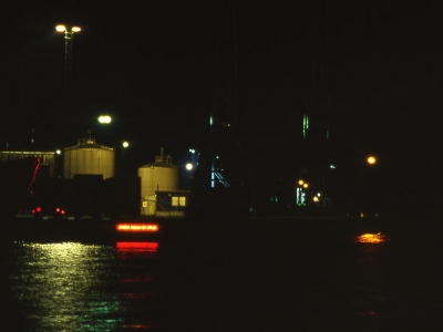 ”Jorden bærer dit aftryk” på Pier 2. (billede 2 af 5)