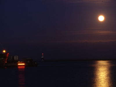 ”Jorden bærer dit aftryk” på Pier 2. (billede 3 af 5)