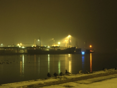 "Fuglenes alfabet" - nu på Pier2. (billede 4 af 5)