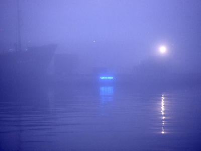 "Fuglenes alfabet" - nu på Pier2. (billede 5 af 5)