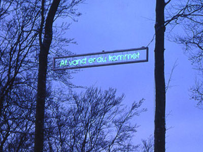 10 meter oppe udspændt mellem to bøgetræer ”Af vand er du kommet”. (billede 3 af 3)