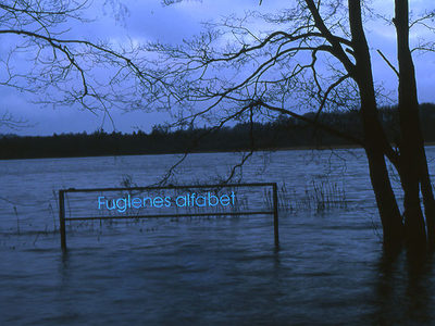 Ude i Ørnsø ”Fuglenes alfabet”. (billede 1 af 4)