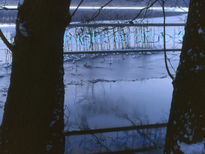 Frosten har sat ind. (billede 2 af 4)