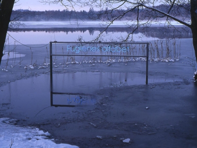 Frosten har sat ind. (billede 3 af 4)